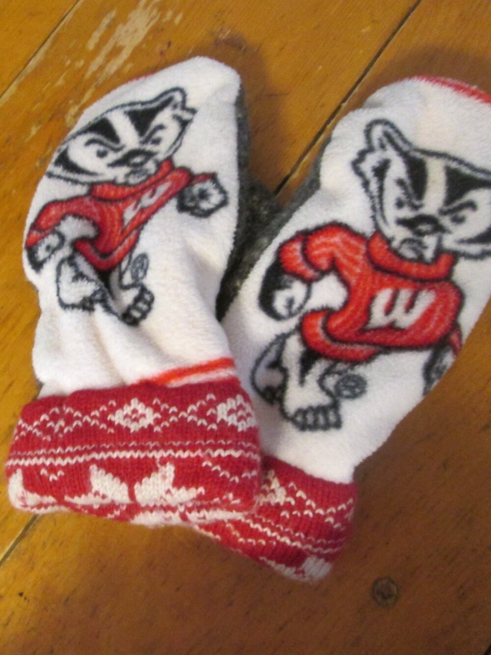 Vtg NCAA Wisconsin badger wool fleece mittens Bucky Graphic mascot